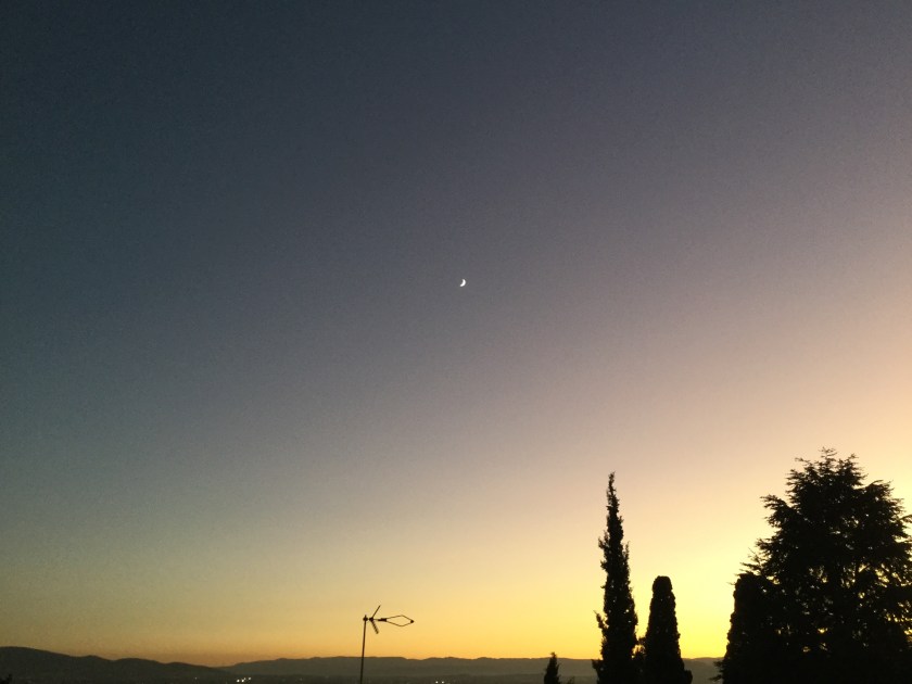 0B203369-B1A7-4F4A-9FA1-119252D7CA1E